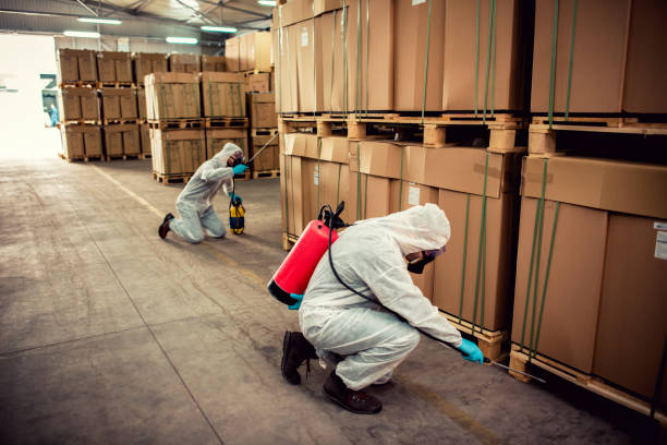 Best Wildlife Control Services  in Olive Hill, KY