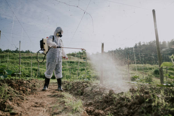 Best Best Pest Control Companies  in Olive Hill, KY