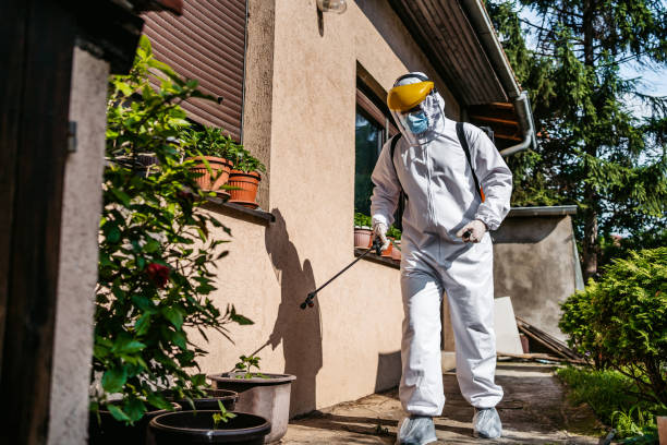 Best Affordable Pest Control Services  in Olive Hill, KY