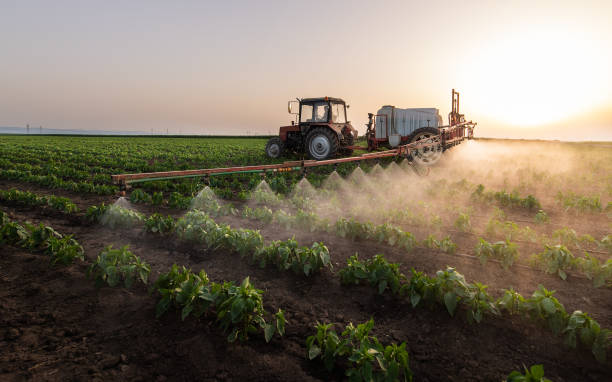 Reliable Olive Hill, KY Pest Control Solutions