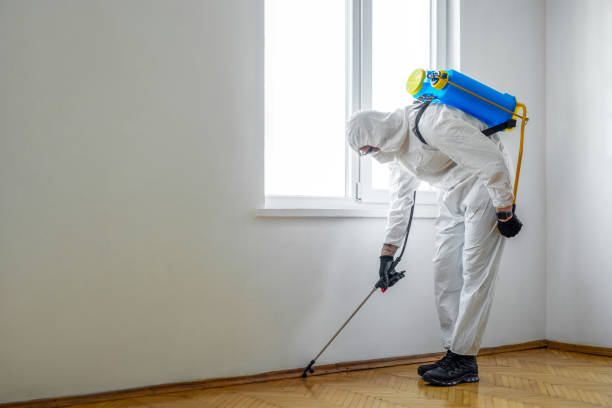 Best Pest Inspection Near Me  in Olive Hill, KY