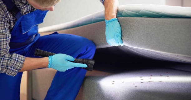 Best Pest Control Near Me  in Olive Hill, KY